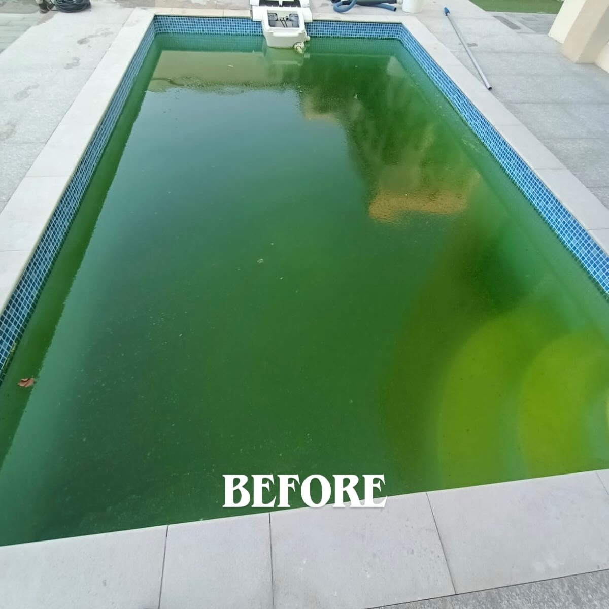 Pool before Al Waha professional cleaning service
